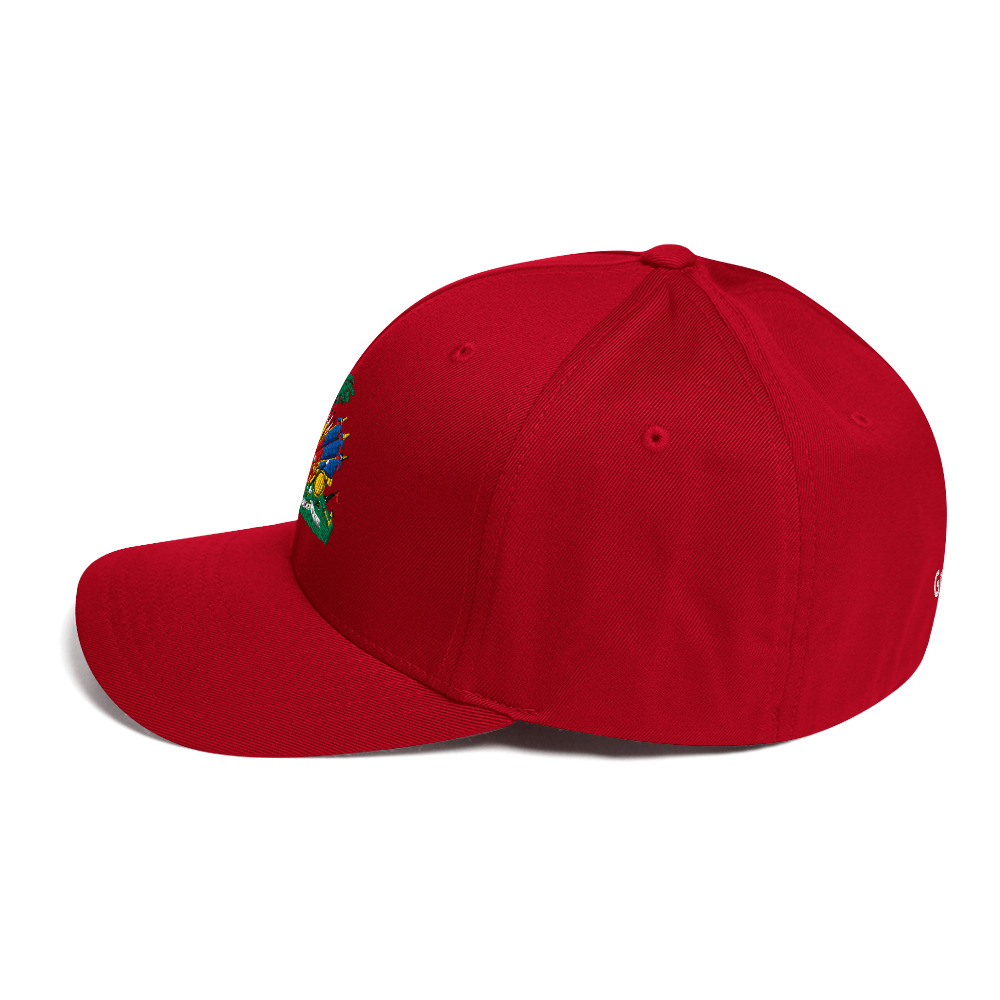 LUFLF Twill Fitted Cap - Image 12