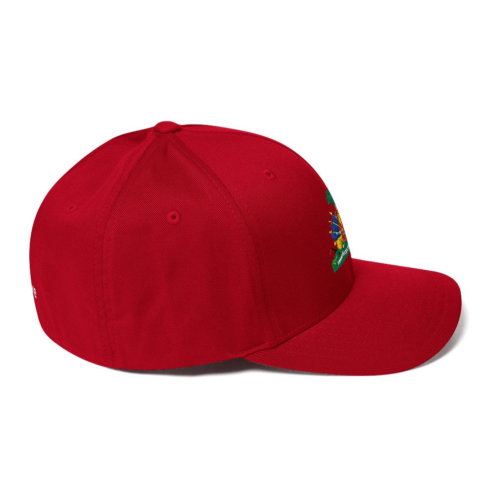 LUFLF Twill Fitted Cap - Image 13
